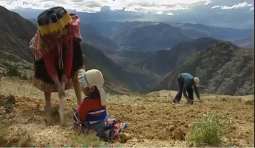 Foundation Gode Gravenhorst hard working indigenious women