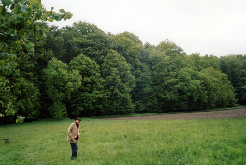 Gode Gravenhorst am Waldrand