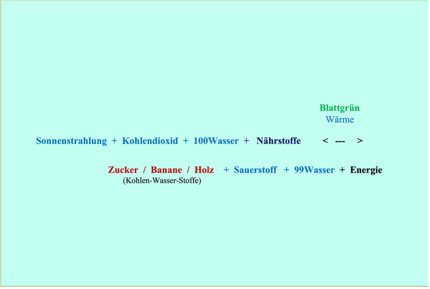 Entstehung Kohlenwasserstoffe Entstehung Kohlenwasserstoffe